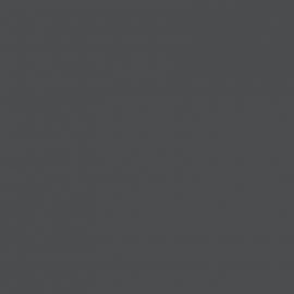 Γκρι Χρώμα αυτοκινήτου C17-BMW