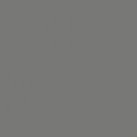 Γκρι Χρώμα αυτοκινήτου C26-BMW