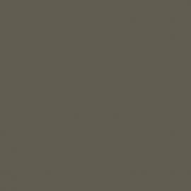 Γκρι Χρώμα αυτοκινήτου C3S-KIA