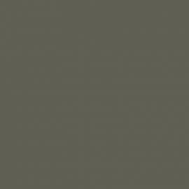 Πράσινο Χρώμα αυτοκινήτου C67-RENAULT