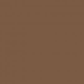 Καφε Χρώμα αυτοκινήτου CTSCWWA-FORD