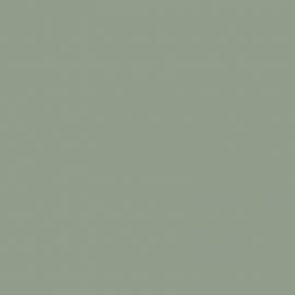 Πράσινο Χρώμα αυτοκινήτου D6Y-AUDI