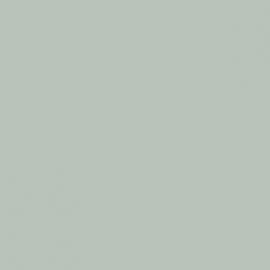 Πράσινο Χρώμα αυτοκινήτου D95-RENAULT