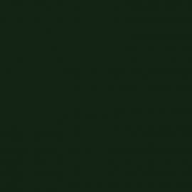 Πράσινο Χρώμα αυτοκινήτου DNH-RENAULT