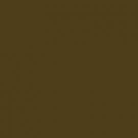 Πράσινο Χρώμα αυτοκινήτου DNW-RENAULT