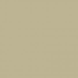 Μπεζ Χρώμα αυτοκινήτου DY-HYUNDAI