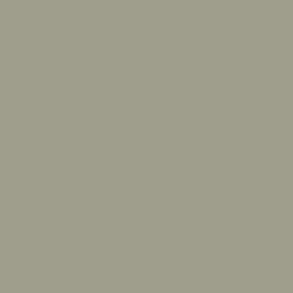 Γκρι Χρώμα αυτοκινήτου E6S-KIA