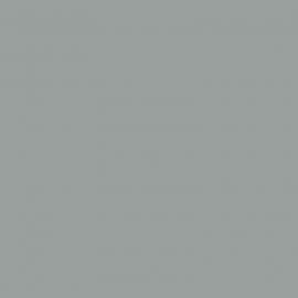 Γκρι Χρώμα αυτοκινήτου ECE-SMART