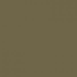 Κίτρινο Χρώμα αυτοκινήτου ENE-RENAULT