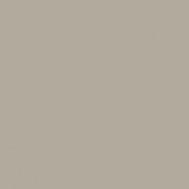 Γκρι Χρώμα αυτοκινήτου EPH-CITROEN