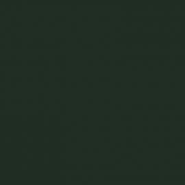 Πράσινο Χρώμα αυτοκινήτου ESL-CITROEN