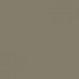 Γκρι Χρώμα αυτοκινήτου ETS-CITROEN