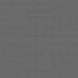 Γκρι Χρώμα αυτοκινήτου EVL-CITROEN