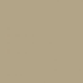 Μπεζ Χρώμα αυτοκινήτου F95-RENAULT