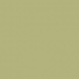 Πράσινο Χρώμα αυτοκινήτου F97-RENAULT