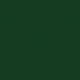 Πράσινο Χρώμα αυτοκινήτου F99-RENAULT