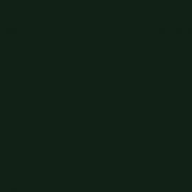 Πράσινο Χρώμα αυτοκινήτου G58-TOYOTA