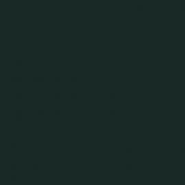 Πράσινο Χρώμα αυτοκινήτου G6-KIA