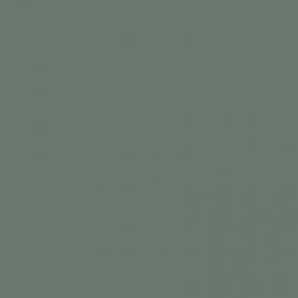 Πράσινο Χρώμα αυτοκινήτου G64-MITSUBISHI