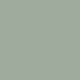 Πράσινο Χρώμα αυτοκινήτου G99P-HONDA