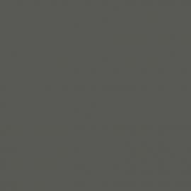 Γκρι Χρώμα αυτοκινήτου GR5-10A-OPEL