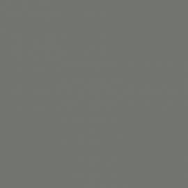 Γκρι Χρώμα αυτοκινήτου GYM-OPEL