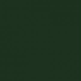 Πράσινο Χρώμα αυτοκινήτου HAC-JAGUAR