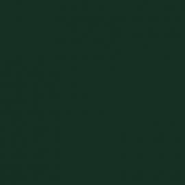 Πράσινο Χρώμα αυτοκινήτου HGG-JAGUAR