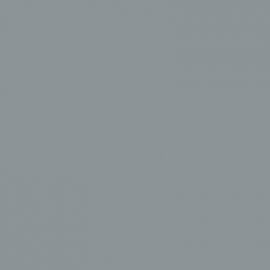 Γκρι Χρώμα αυτοκινήτου JQQLXWA-FORD