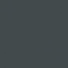 Γκρι Χρώμα αυτοκινήτου KNA-RENAULT