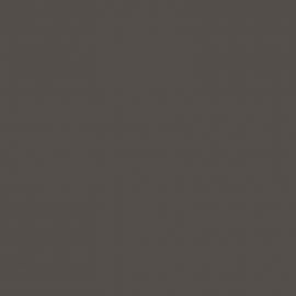 Γκρι Χρώμα αυτοκινήτου KNG-RENAULT