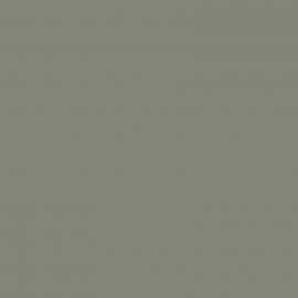 Γκρι Χρώμα αυτοκινήτου KNR-RENAULT