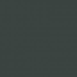 Γκρι Χρώμα αυτοκινήτου KNS-RENAULT