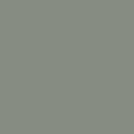 Γκρι Χρώμα αυτοκινήτου KNW-RENAULT