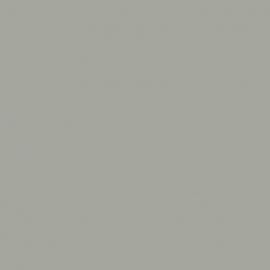 Γκρι Χρώμα αυτοκινήτου KXC-RENAULT