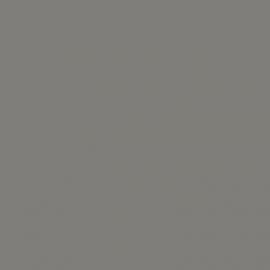 Γκρι Χρώμα αυτοκινήτου L1RR-AUDI