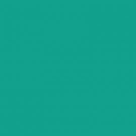 Πράσινο Χρώμα αυτοκινήτου LB6Z-VAG