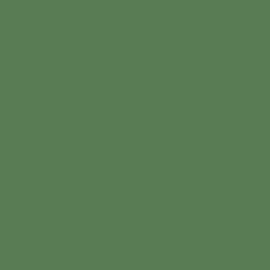 Πράσινο Χρώμα αυτοκινήτου LC6W-VAG