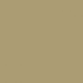 Μπεζ Χρώμα αυτοκινήτου LD1W-VAG