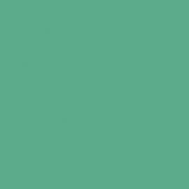 Πράσινο Χρώμα αυτοκινήτου LD6T-VAG