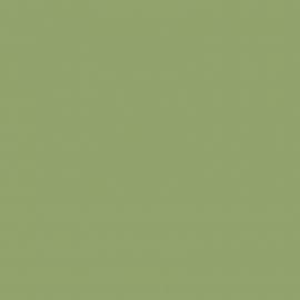 Πράσινο Χρώμα αυτοκινήτου LG6V-VAG