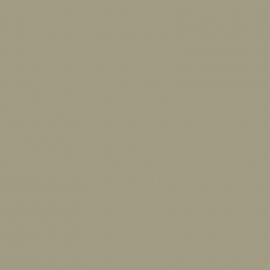 Γκρι Χρώμα αυτοκινήτου LMO-JAGUAR