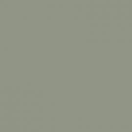 Γκρι Χρώμα αυτοκινήτου LMR-JAGUAR