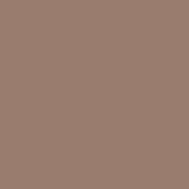 Μπεζ Χρώμα αυτοκινήτου LP2X-VAG