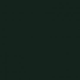 Πράσινο Χρώμα αυτοκινήτου LP6W-VAG