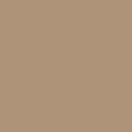 Μπεζ Χρώμα αυτοκινήτου LR1W-VAG