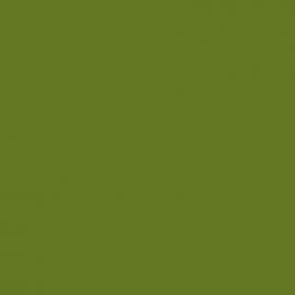 Πράσινο Χρώμα αυτοκινήτου LR6T-VAG