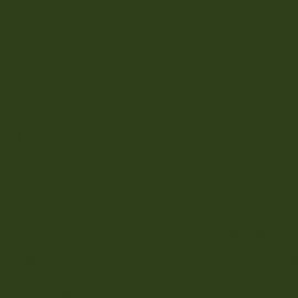 Πράσινο Χρώμα αυτοκινήτου LX6R-AUDI