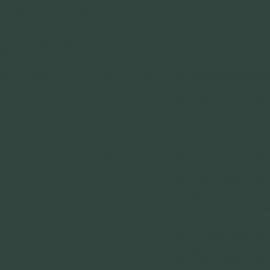 Πράσινο Χρώμα αυτοκινήτου LX6W-AUDI