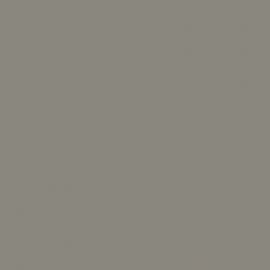 Μπεζ Χρώμα αυτοκινήτου LZ1W-AUDI